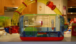 hamstercage.jpg